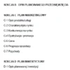 Biznesplan produkcja mebli na wymiar (zakład stolarski, blaty Kerrock, Corian i montaż) - wzór PDF do dotacji-1 BIZNESPLAN produkcja mebli na wymiar (zakład stolarski, blaty Kerrock/Corian i montaż) - wzór PDF do dotacji
