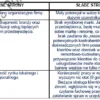 Biznesplan produkcja siatki ogrodzeniowej i firma budowlana (ogrodzenia, montaż i roboty wykończeniowe) - wzór PDF do dotacji-4 BIZNESPLAN produkcja siatki ogrodzeniowej i firma budowlana (ogrodzenia, montaż i roboty wykończeniowe) - wzór PDF do dotacji