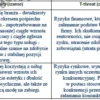 Biznesplan salon masażu (masaże relaksacyjne i orientalne) - wzór PDF do dotacji-3 BIZNESPLAN salon masażu (masaże relaksacyjne i orientalne) - wzór PDF do dotacji
