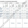Biznesplan salon masażu (masaże relaksacyjne i orientalne) - wzór PDF do dotacji-4 BIZNESPLAN salon masażu (masaże relaksacyjne i orientalne) - wzór PDF do dotacji