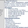 BIZNESPLAN Biznesplan samoobsługowy warsztat samochodowy z parkingiem dozorowanym - wzór PDF do dotacji