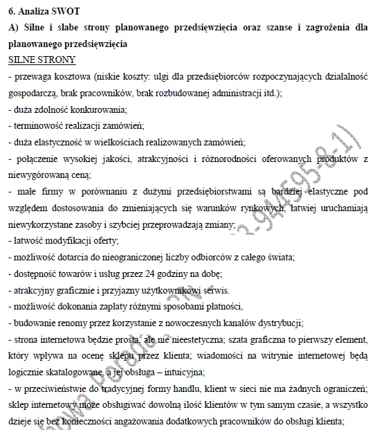 Biznesplan sklep internetowy z odzieżą outletową (odzież i obuwie, detal i hurt) - wzór PDF do dotacji-2 BIZNESPLAN sklep internetowy z odzieżą outletową (odzież i obuwie, detal i hurt) - wzór PDF do dotacji
