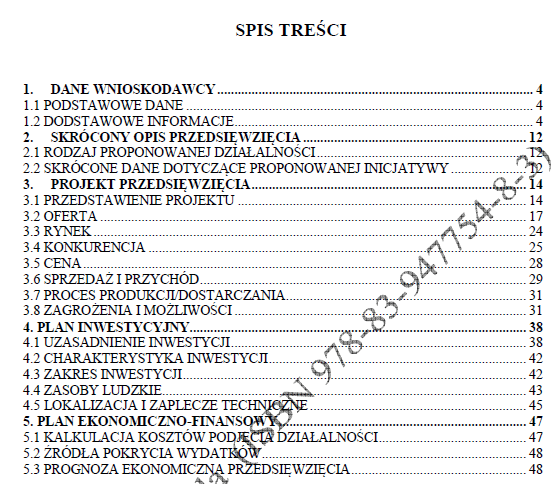 BIZNESPLAN sklep internetowy z rękodziełem (poduszki z łuską gryki) - wzór PDF do dotacji