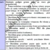 BIZNESPLAN sklep internetowy z rękodziełem (poduszki z łuską gryki) - wzór PDF do dotacji