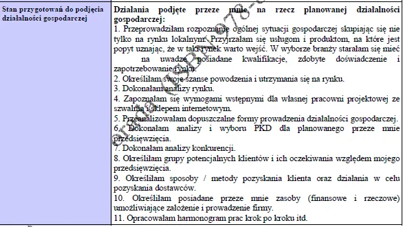 BIZNESPLAN sklep internetowy z rękodziełem (poduszki z łuską gryki) - wzór PDF do dotacji