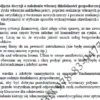 BIZNESPLAN sklep internetowy z rękodziełem (poduszki z łuską gryki) - wzór PDF do dotacji