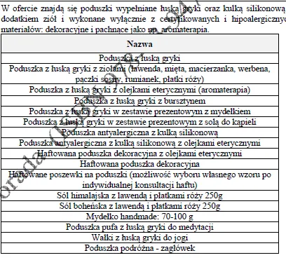 BIZNESPLAN sklep internetowy z rękodziełem (poduszki z łuską gryki) - wzór PDF do dotacji