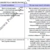 BIZNESPLAN sklep internetowy z rękodziełem (poduszki z łuską gryki) - wzór PDF do dotacji