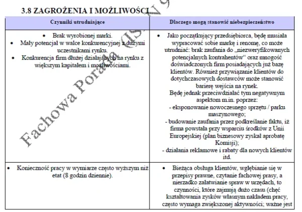 BIZNESPLAN sklep internetowy z rękodziełem (poduszki z łuską gryki) - wzór PDF do dotacji