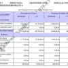 BIZNESPLAN sklep internetowy z rękodziełem (poduszki z łuską gryki) - wzór PDF do dotacji