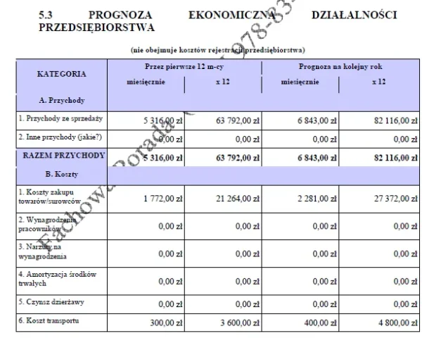 BIZNESPLAN sklep internetowy z rękodziełem (poduszki z łuską gryki) - wzór PDF do dotacji