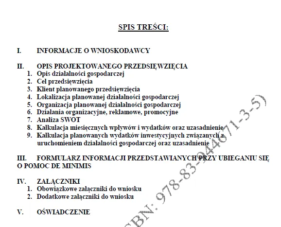 Biznesplan sklep z obuwiem sportowym i hurtownia - wzór PDF do dotacji-1 BIZNESPLAN sklep z obuwiem sportowym i hurtownia - wzór PDF do dotacji