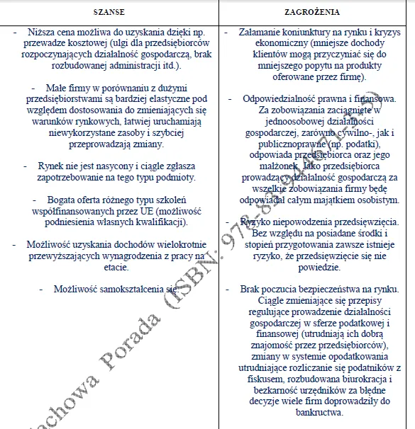 Biznesplan sklep z obuwiem sportowym i hurtownia - wzór PDF do dotacji-3 BIZNESPLAN sklep z obuwiem sportowym i hurtownia - wzór PDF do dotacji