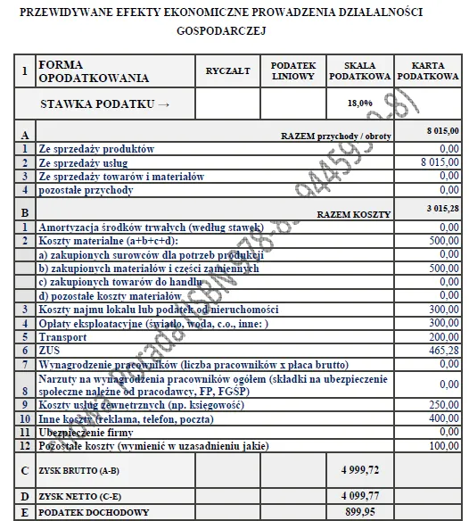 BIZNESPLAN studio pielęgnacji zwierząt (grooming i kompleksowa pielęgnacja psów) - wzór PDF do dotacji