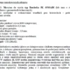BIZNESPLAN szwalnia ze sklepem internetowym (tekstylia dla hoteli i transportu) - wzór PDF do dotacji
