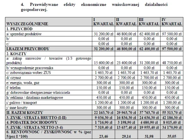 BIZNESPLAN szwalnia ze sklepem internetowym (tekstylia dla hoteli i transportu) - wzór PDF do dotacji