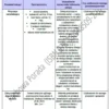 BIZNESPLAN tartak (usługi tartaczne i produkcja skrzyniopalet) - wzór PDF do dotacji