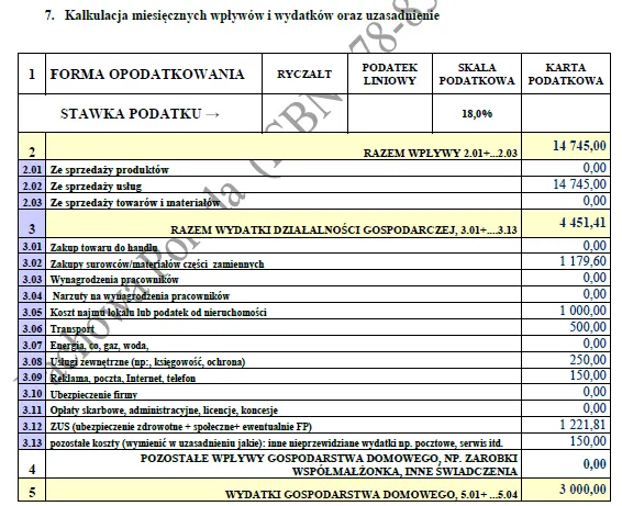 BIZNESPLAN usługi kosmetyczne (zabiegi na twarz i ciało) - wzór PDF do dotacji