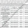 Biznesplan usługi ogólnobudowlane (remonty, brukarstwo, fundamenty i dachy) - wzór PDF do dotacji-5 Biznesplan usługi ogólnobudowlane (remonty, brukarstwo, fundamenty i dachy) - wzór PDF do dotacji