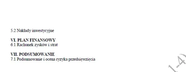 BIZNESPLAN własna marka odzieżowa ze sklepem internetowym - wzór PDF do dotacji