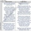 BIZNESPLAN własna marka odzieżowa ze sklepem internetowym - wzór PDF do dotacji