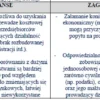 BIZNESPLAN własna marka odzieżowa ze sklepem internetowym - wzór PDF do dotacji