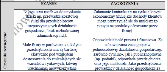 BIZNESPLAN własna marka odzieżowa ze sklepem internetowym - wzór PDF do dotacji