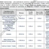 BIZNESPLAN własna marka odzieżowa ze sklepem internetowym - wzór PDF do dotacji