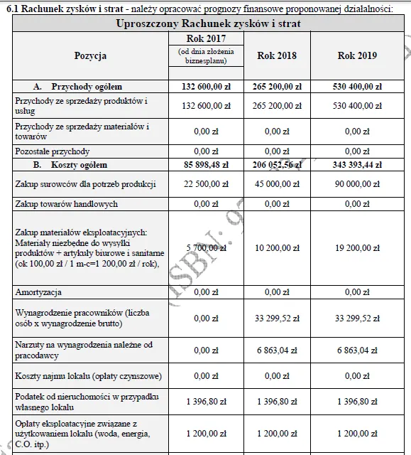 BIZNESPLAN własna marka odzieżowa ze sklepem internetowym - wzór PDF do dotacji