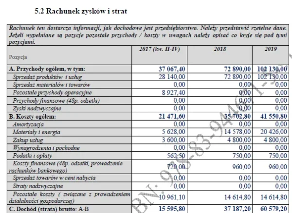 BIZNESPLAN zakład tapicerski (meble na zamówienie, renowacja i tapicerka samochodowa) - wzór PDF do dotacji